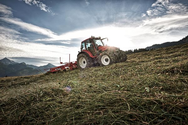Tedding hay with a rotary tedder
