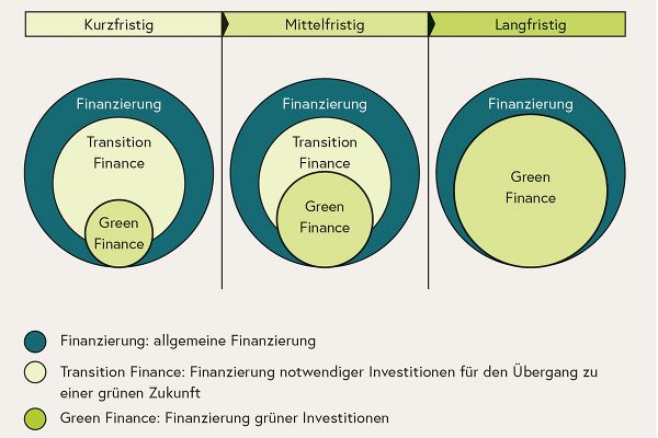 In the long term, the share of transition finance is expected to increase to one-third of financing needs
