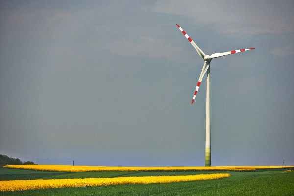 wind turbine