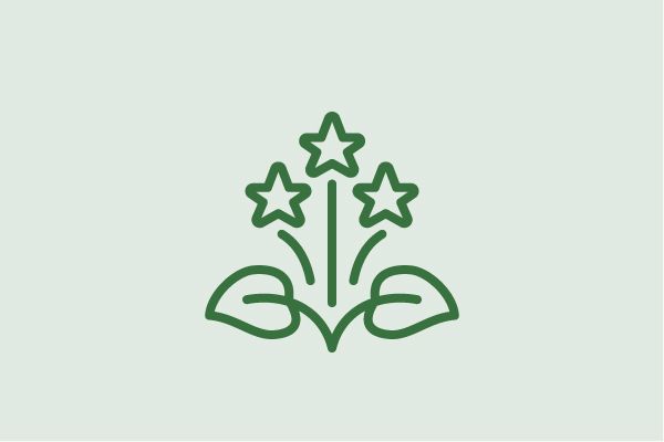 Icon Green Events