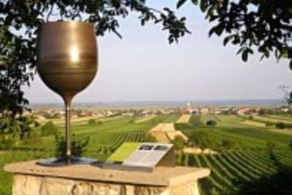 Weinlehrpfad Jois