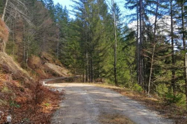 Schaueckrunde