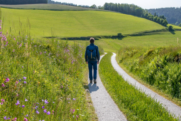 Wandern am Themenweg in Helfenberg