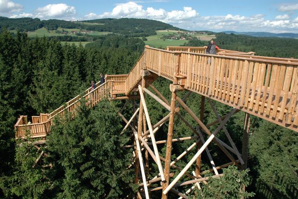 Baumkronenweg Kopfing