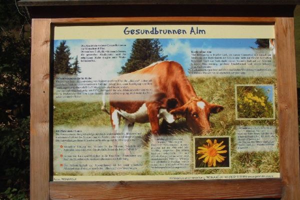 Auf die Alm