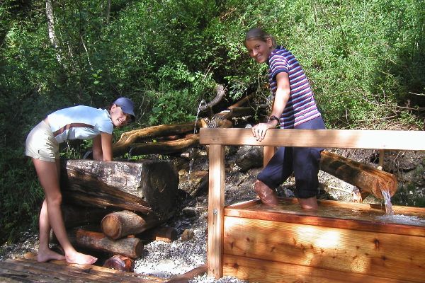 Baumlehrpfad Annaberg