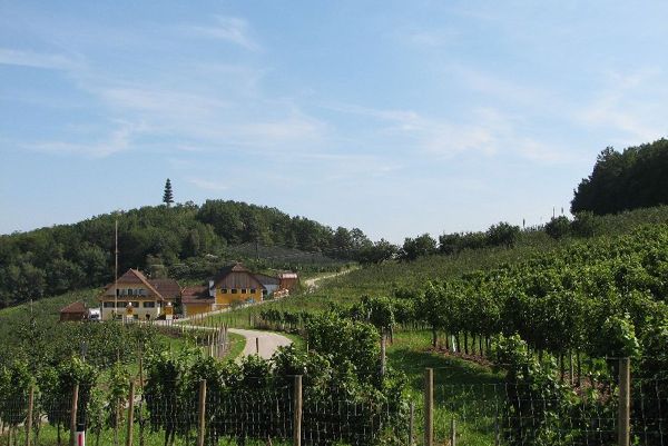 Schnaps Lehrpfad