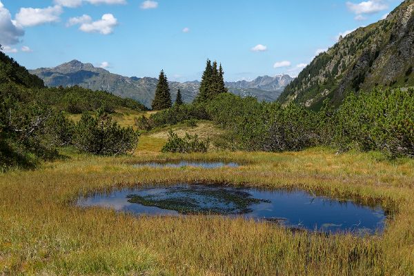 Zeinisjoch Wiegensee in Vorarlberg