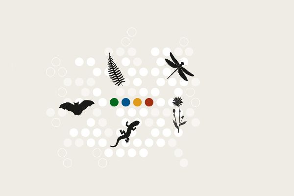 Biodiversitätsfonds 2025