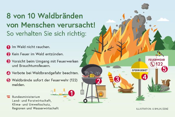 Poster: 8 von 10 Waldbränden von Menschen verursacht!