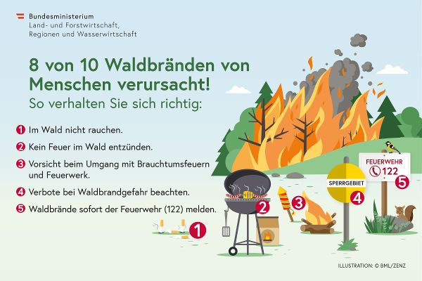 Voransicht des Posters