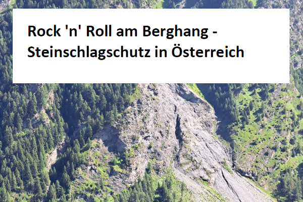 Broschüre Rock 'n' Roll am Berghang - Steinschlagschutz in Österreich 2025 