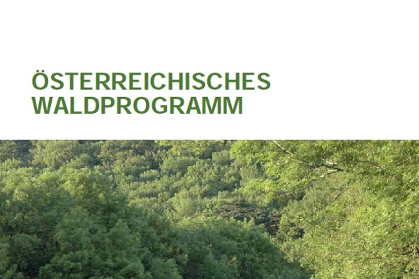 Dokumente Walddialog