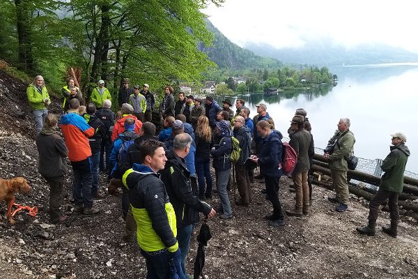 TeilnehmerInnen der Schutzwaldplattform 2024 bei Exkursion im Wald
