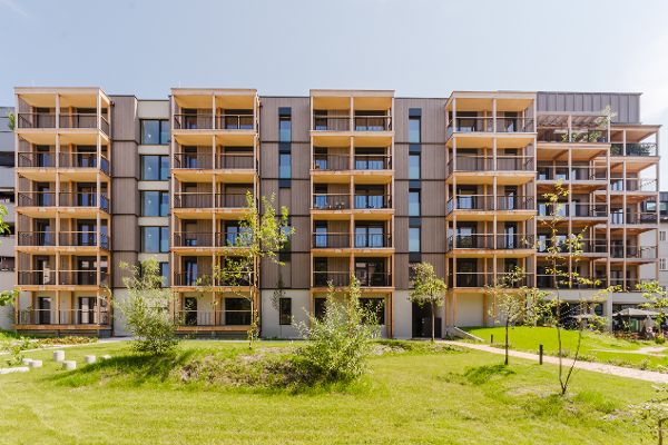 Gebäude in Holzbauweise 