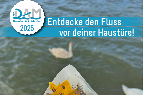 Screenshot vom Danube Art Master 2025 Logo am Flyer.
