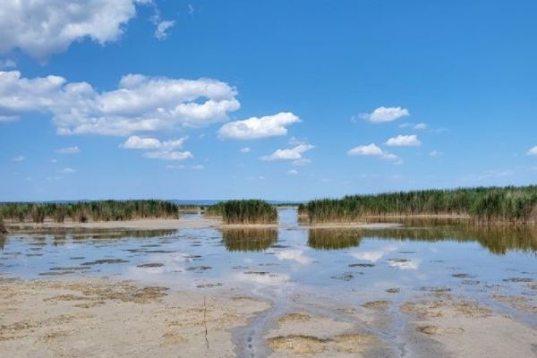 Neusiedler See in Mörbisch