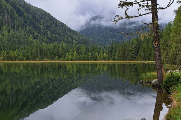 Rantenbach Krakau (Steiermark) - Birgit Neuwirth