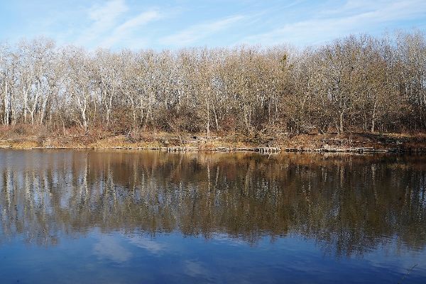 Blick über das Wasser auf das gegenüberliegende Ufer in der Wiener Lobau