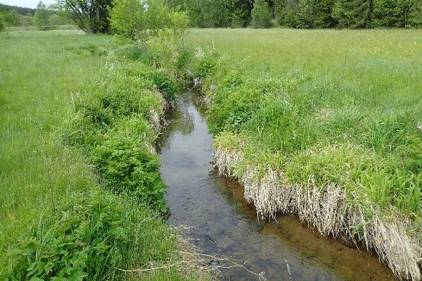 Zu sehen ist die Purzelkamp, ein kleines Fließgewässer