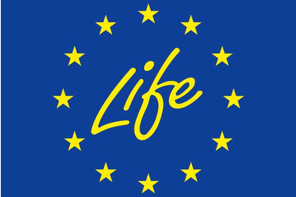 life Logo