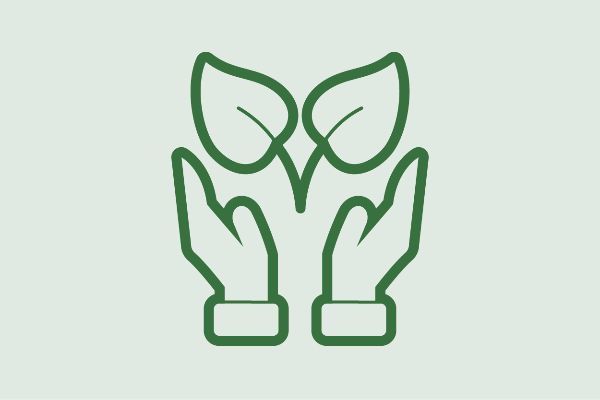  Icon climate and environment