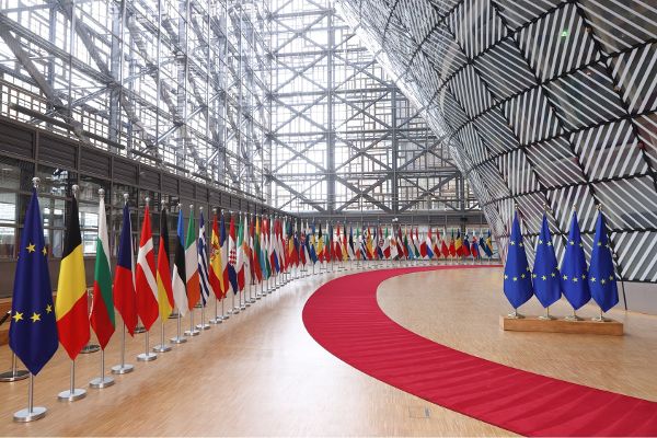 EU-participation_flags