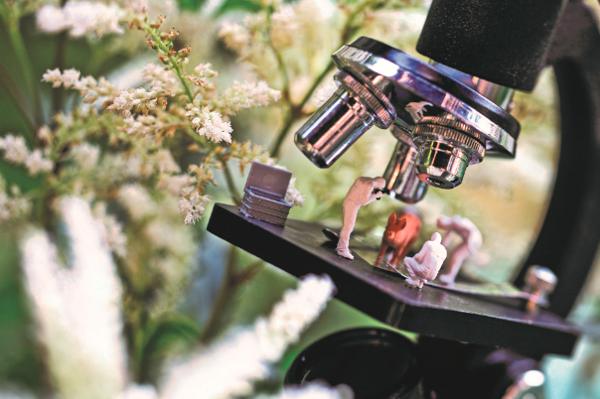 Microscope with miniature figures examining a slide