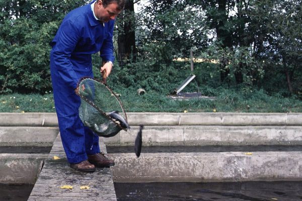 A man fishing out in his trout farm