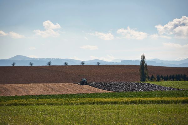 fields