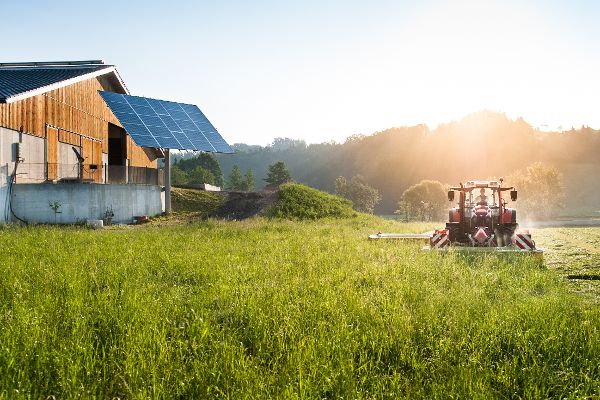 Hay processing by a machine