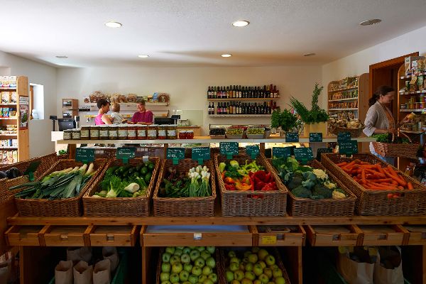 Farm vegetable sales