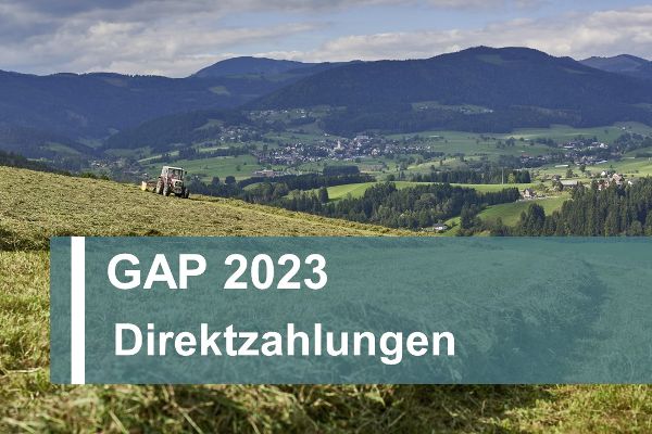 Information text: Direct payments 2023