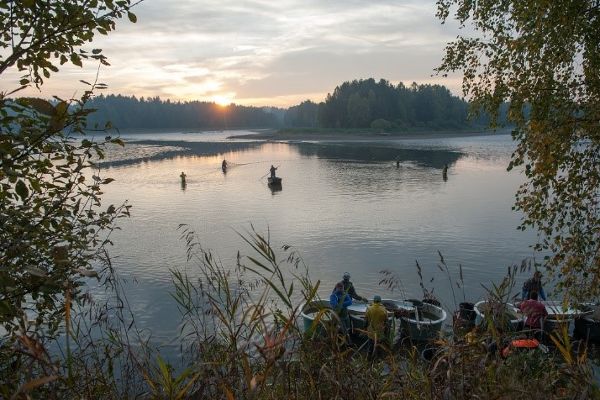 Catching Großer Schandacherteich