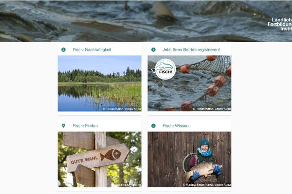  Screenshot gutewahlfisch.at