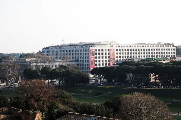 Food and Agriculture Organization of the United Nations - Headquarters