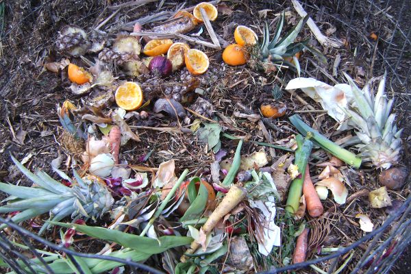 compost