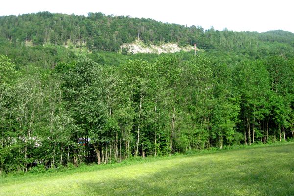 Mixed forest around quarry