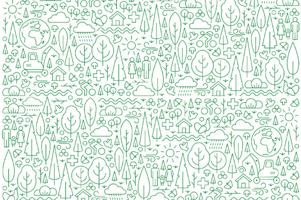 Cover photo Austrian Forest Strategy 2020+