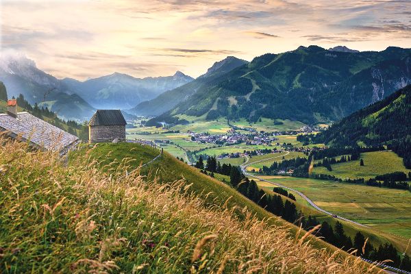 Landscape