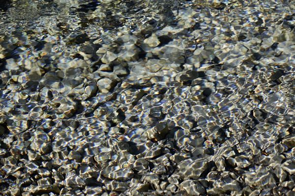 surface water