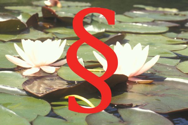 Water lily photo in the middle a red paragraph mark