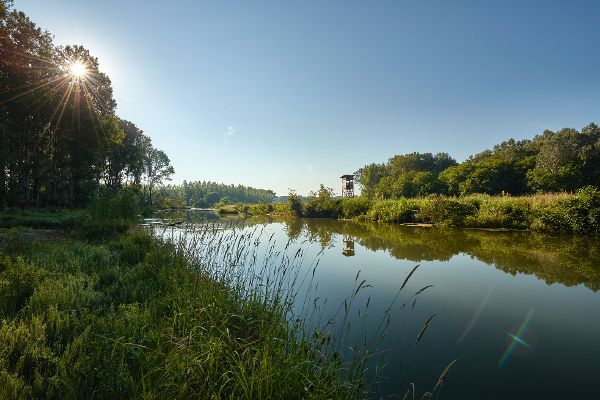 Traisen estuary at the Altenwörth Danube power station