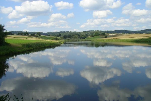 Gerhart's pond