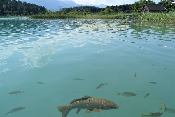 Faak Lake
