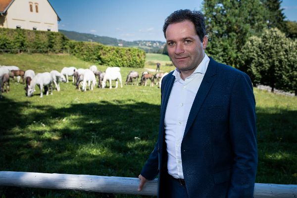 Lokalaugenschein Lipizzanergestüt Piber