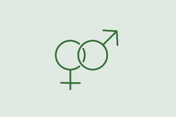 Gender Mainstreaming