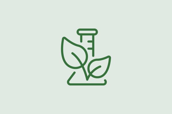  Icon Forschung