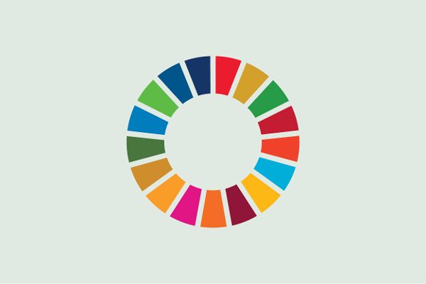 Icon Agenda 2030