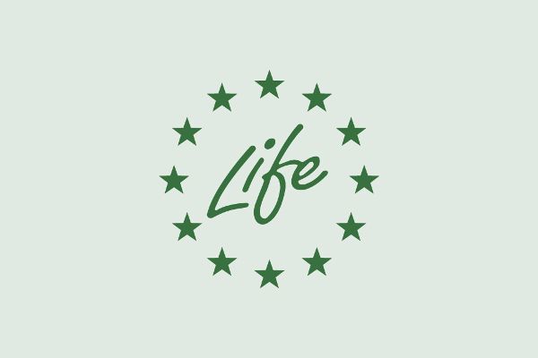 Icon Life-Programm